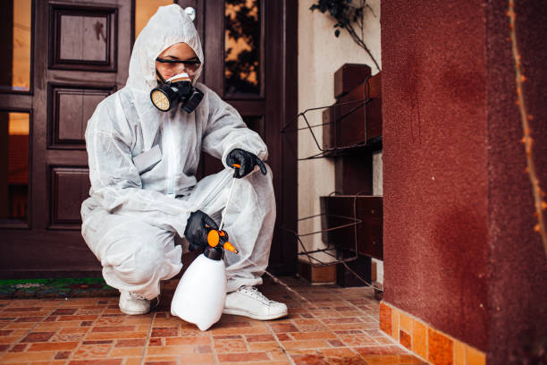 Reliable Ant Control contractor in York Harbor, ME by Show Me Pest Control